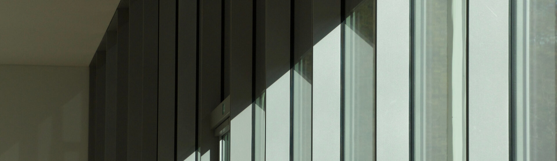 Image - The Impact of Natural Light in Design