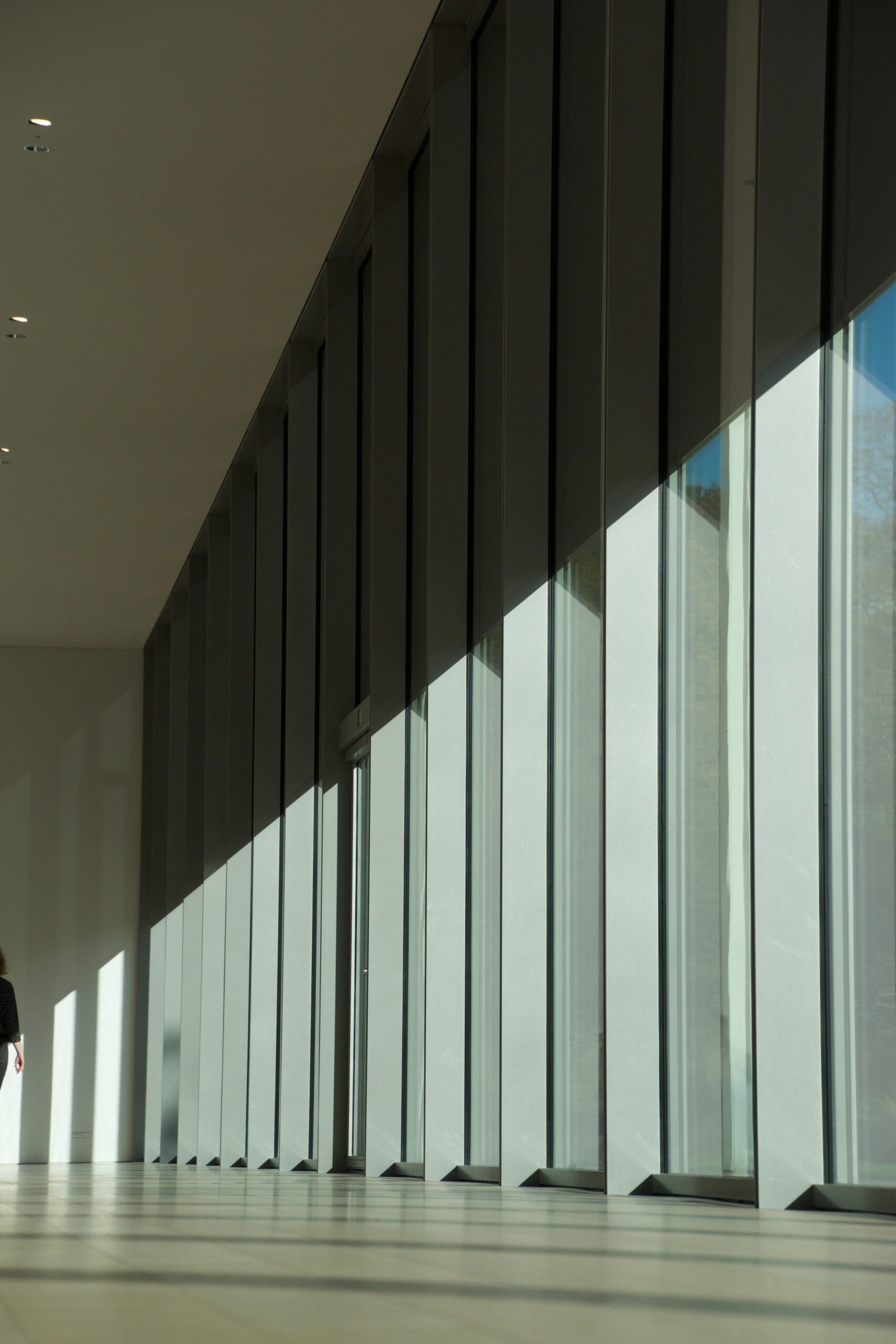 Image - The Impact of Natural Light in Design