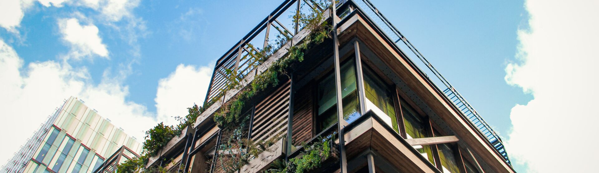 Image - The Rise of Sustainable Architecture